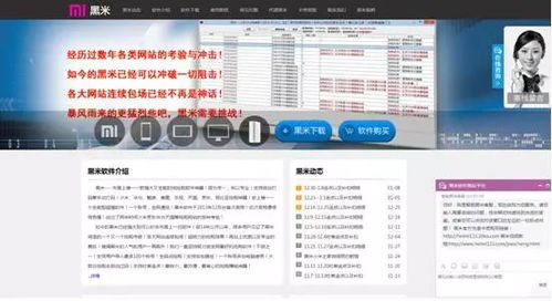 3.1 自动化抢购工具的崛起