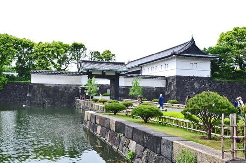 游客体验：花钱买罪受系列