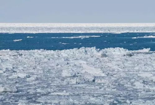 第四章：美食陷阱：舌尖上的惊悚