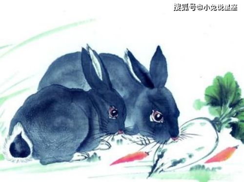生肖的循环