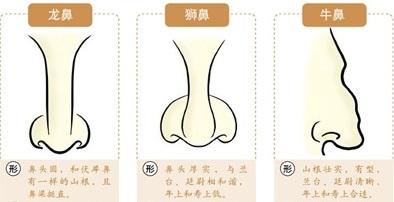 3. 鼻翼右侧痣——旺夫潜质激发