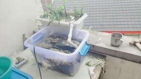 过滤系统：理性选择与维护的重要性