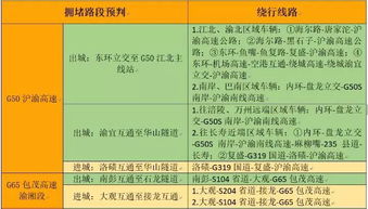 宜忌事项综合考量：理性决策的重要性