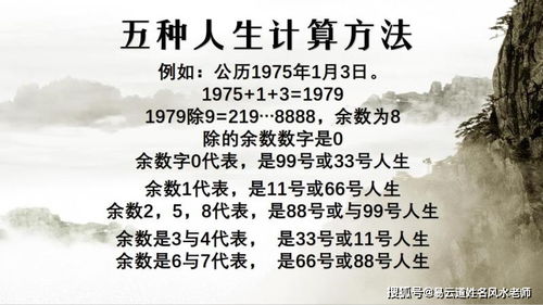 摘要