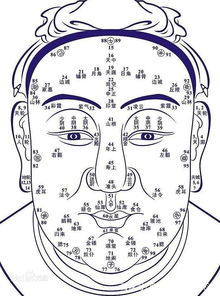 五、 下巴（地阁）方圆饱满——中晚年运势稳健