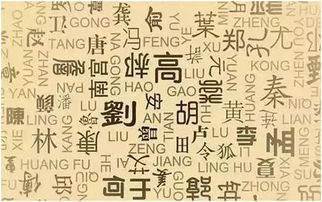 名字中的神秘力量：解码生肖与风水的关系到