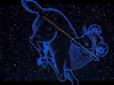 双鱼上升金牛，月亮太阳在金牛，这样的女生会吸引金牛男吗？