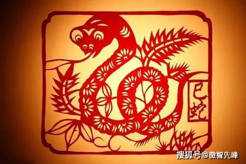 2026年属蛇财运如何，各月运势具体分析是什么？