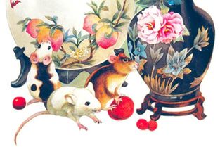 一鸣惊人指的是什么动物，其象征意义是什么？