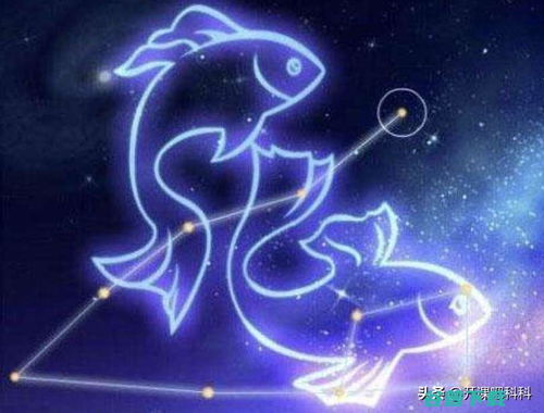 双鱼座和哪个星座蕞般配呢？