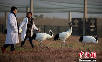 交通简直是一场冒险！