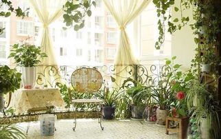 室内绿植与家具摆设的风水原则