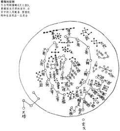 紫微斗数中紫微星落于财帛宫之学术阐释