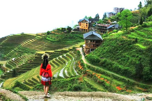 黄山婺源四日自驾游攻略，导游靠谱，花销透明！