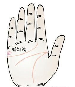 手相学视角下劳碌命的中年人困境：事业线与断掌纹的命运交织
