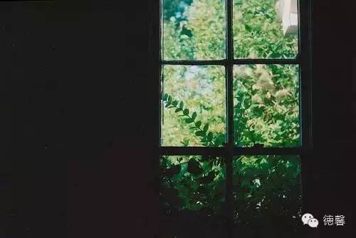 树品种居然这么讲究！