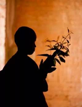 惯与命运本质及其被广泛误解现象的深度学术分析报告