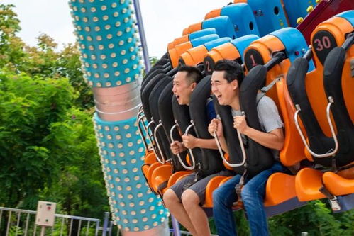 夏天受罪首选：水上乐园