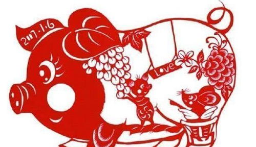 属猪和属龙财运如何？女属龙本命年送什么礼物表示祝福？