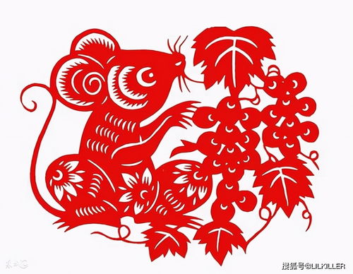 忆字打一生肖是什么？这个生肖有什么特点？