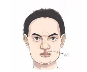 关于人中纹理与亲子关系之留意与阐释
