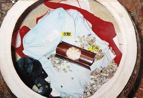 一、 种生基之本源概念与运作机理