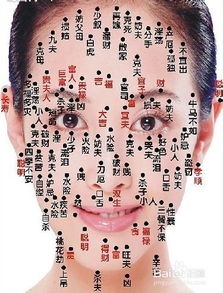 五、 防治策略与临床建议