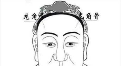 一、 骨骼特征：坚毅与柔和的完美结合