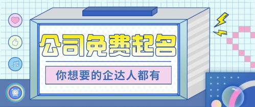 命名特征总体概述