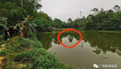 池塘名字应该取什么有没有什么文雅的池塘名称推荐？