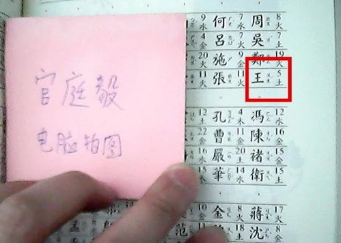 一、风水搭配：五行相生相克的艺术（乱七八糟版）