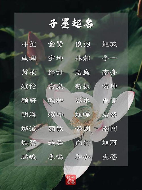 五行缺金的更少年之命理乱语