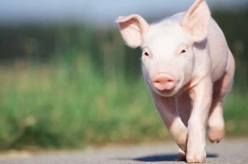 沟通？不！这是一场心灵过山车！