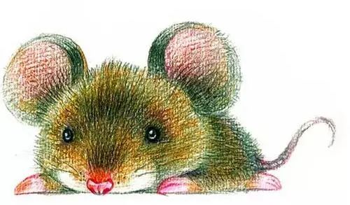 1972年属鼠男性2026年财运如何分析？