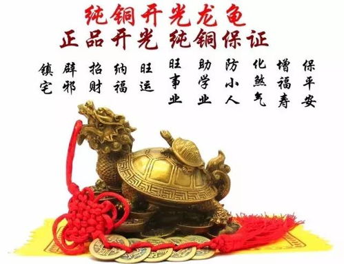 序言：命理学视角下的太岁刑冲理论体系