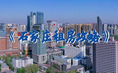 距离大揭秘：血与泪的教训（以及随机插入的奇怪文字）