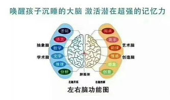 2.1 磁场稳定性的影响机制