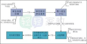 五、 宽度与深度：微妙平衡下的和谐共生