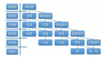 3. 科员及专业技术手段岗位分类