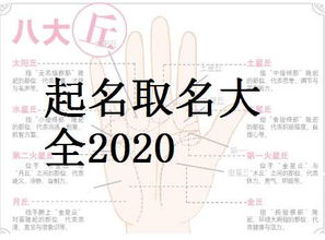 四、 糟糕的起名指南——让你的宝宝在人群中成为焦点（负面焦点也行）🌀🌀🌀