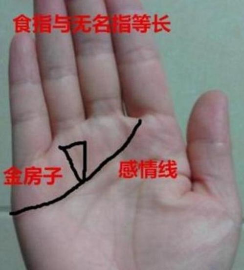 生肖星座对炎热爱情的作用于：不同类型恋人的特点