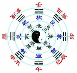 四、 先天八字趋势与后天环境交互作用的理论阐释