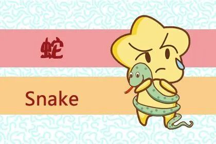 2001年属蛇人2026年和2027年运势完整版具体内容是什么？