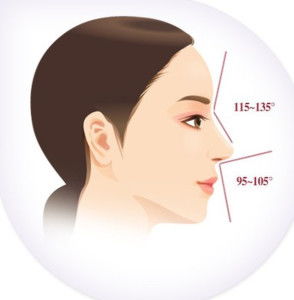 4. 猩猩鼻：朴实憨厚却缺乏精致感