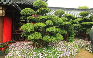 *四、 对称布局及中心节点的十分沉关键性*