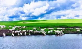 2.2 小技巧——防晒+防雨=双保险