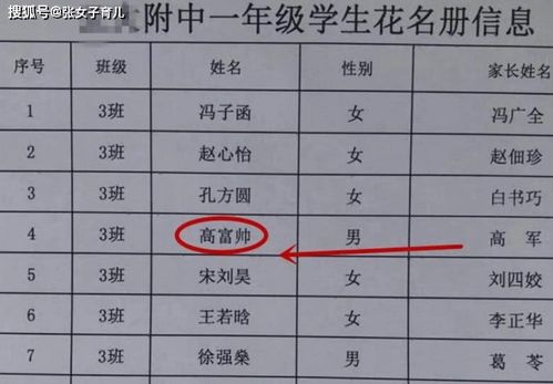 杨正规名字中带有土和水元素的男孩名字，是否适合用来预测吉凶？
