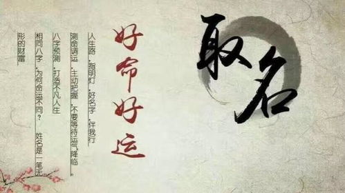 前言：当古老的姓氏遇上奔腾的骏马