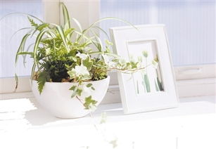 1.1 风水学中“桃花位”的概念界定