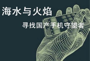 五行制约下的机遇与挑战